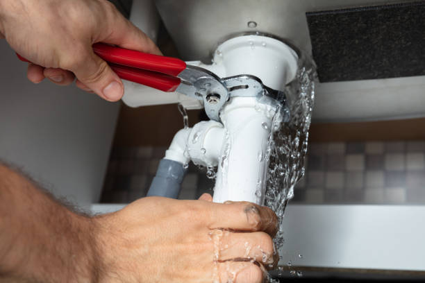 Best Carpet water damage restoration  in Cedarburg, WI