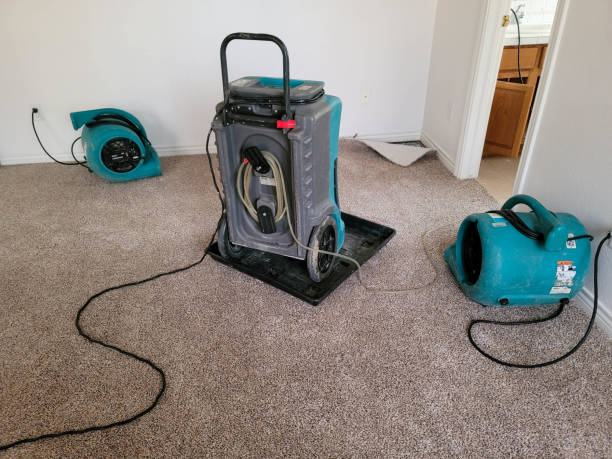 Best Mold removal after water damage  in Cedarburg, WI