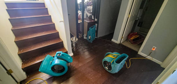 Best Local water damage restoration  in Cedarburg, WI