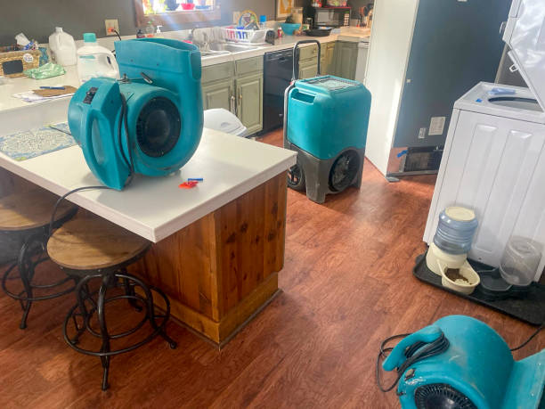 Best Sewage cleanup and water damage restoration  in Cedarburg, WI
