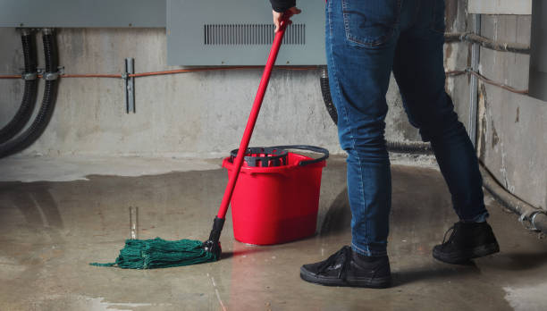 Best Water damage restoration experts  in Cedarburg, WI