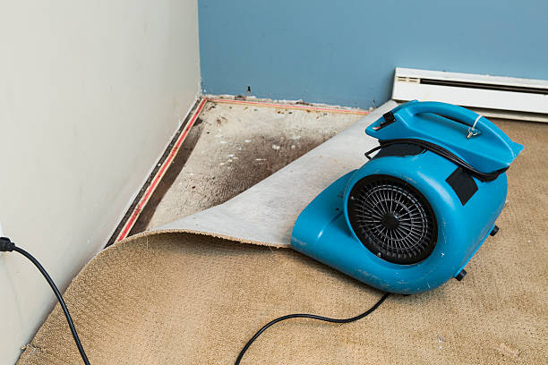 Best 24/7 water damage repair  in Cedarburg, WI